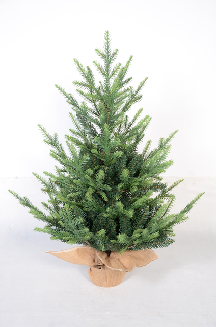 绿色迷你普通圣诞树