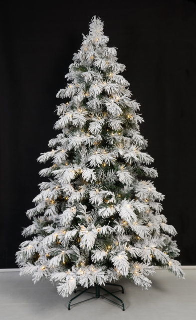 普通的圣诞绿色 +带有弦灯的羊群