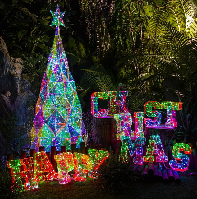 彩色阴谋圣诞快乐