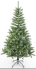 绿色普通圣诞树