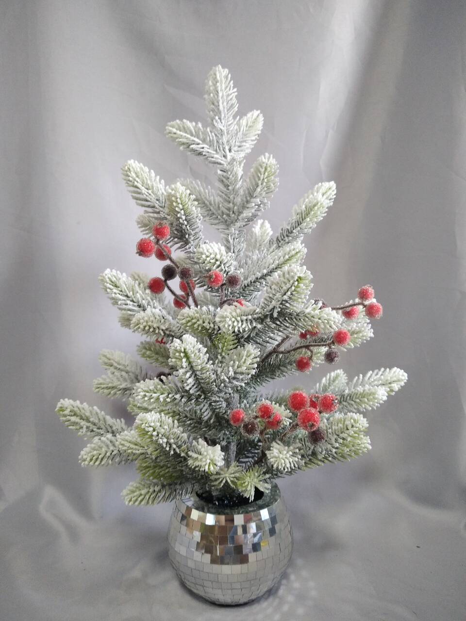 雪花树宠物镜面与银盆地