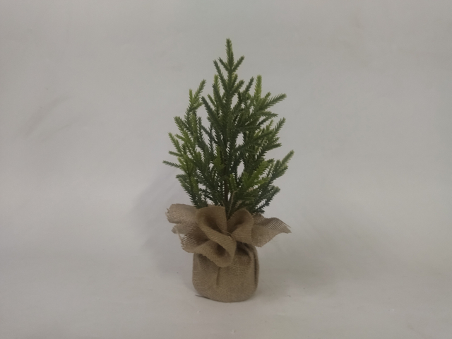 圣诞绿色迷你树