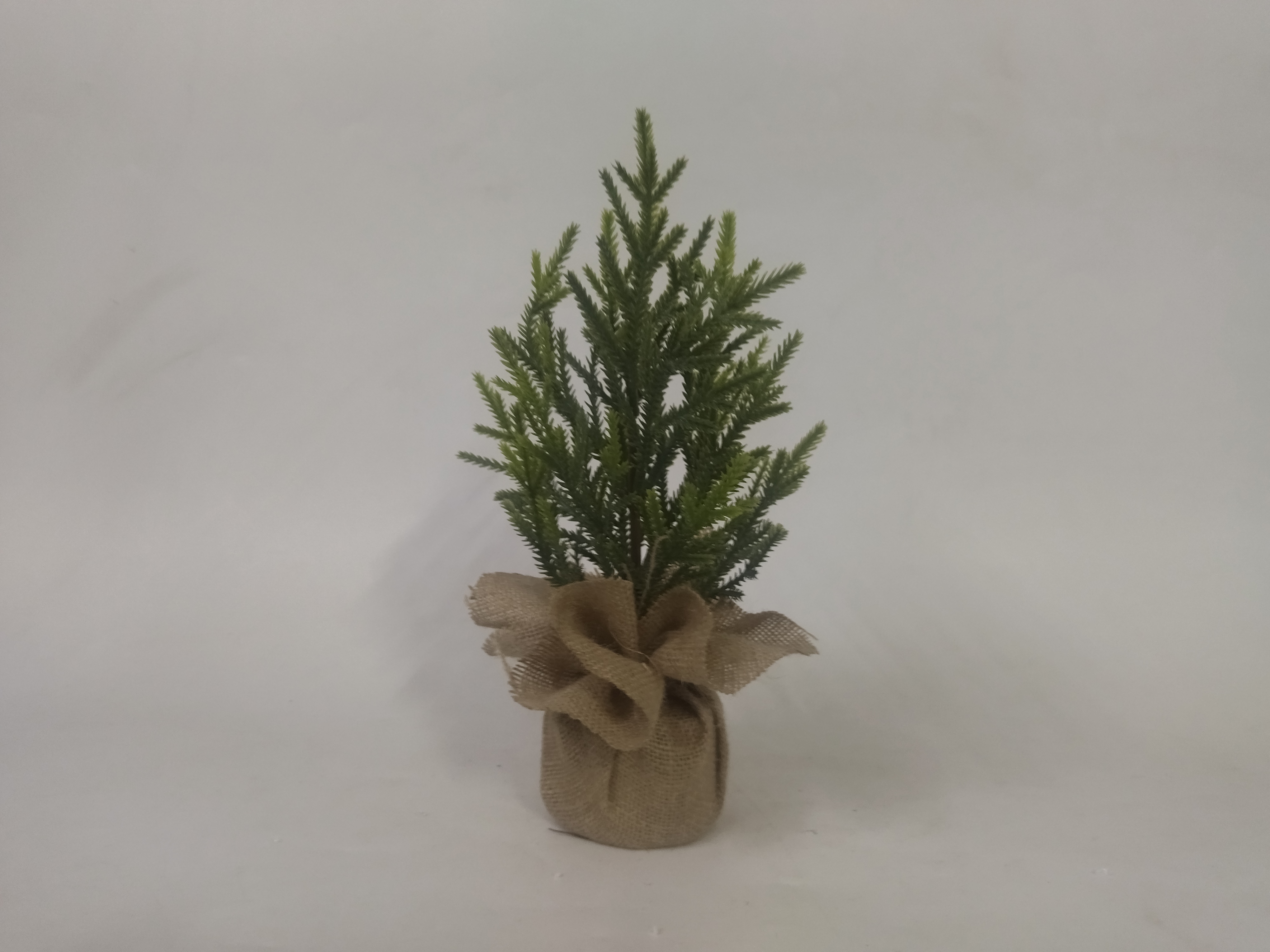 圣诞绿色迷你树