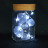 玻璃罐+PET球灯 