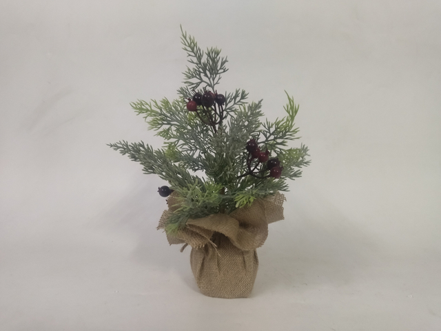 圣诞绿色迷你树 + 水果