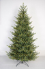 普通绿色圣诞树