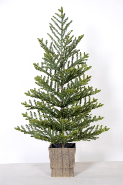 绿色平原圣诞树