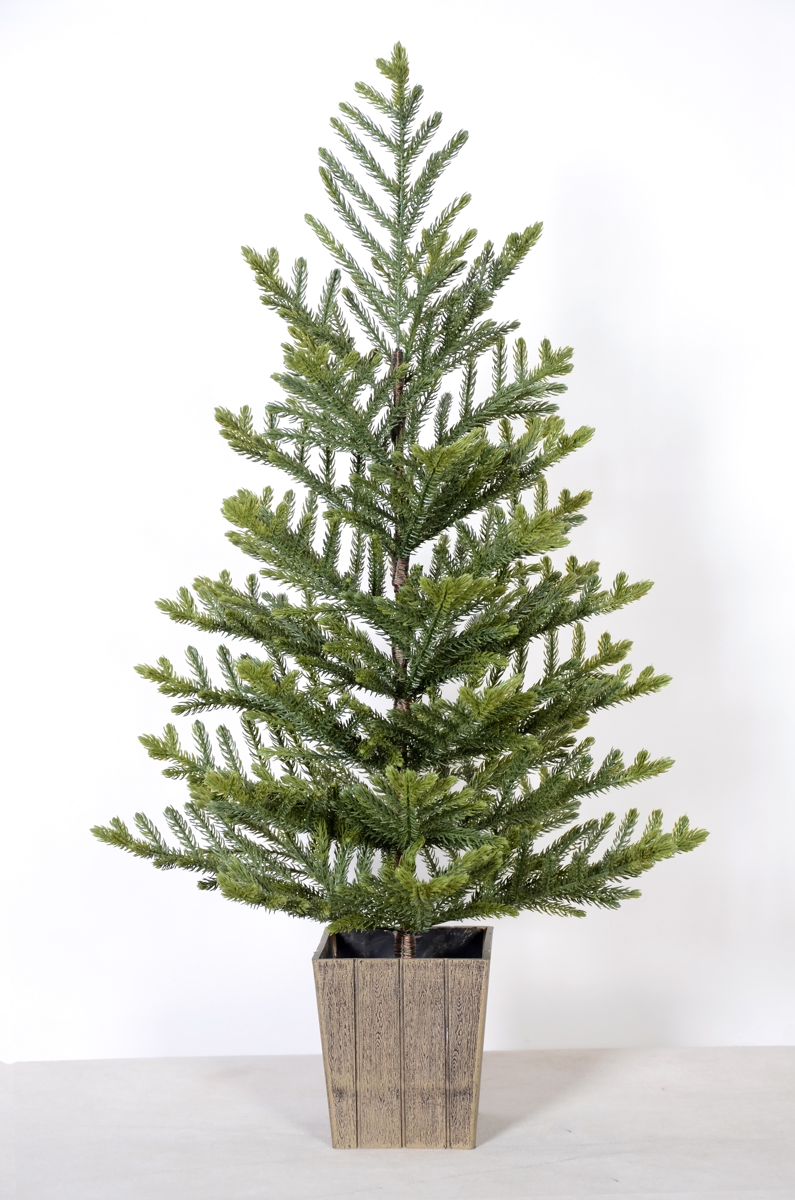 绿色普通圣诞树