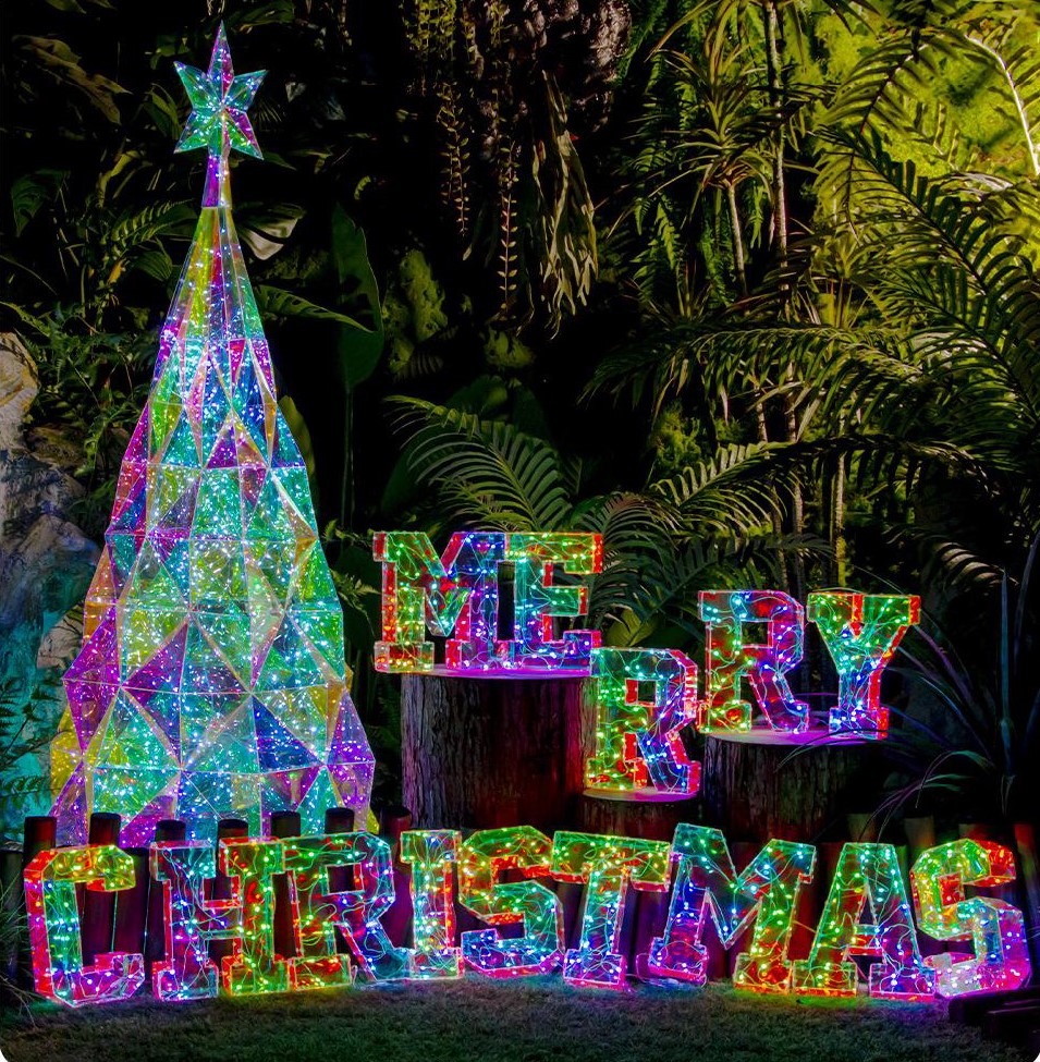 彩色阴谋圣诞快乐